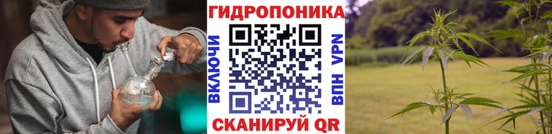 Каннабис SATIVA & INDICA цена наркотик Будённовск